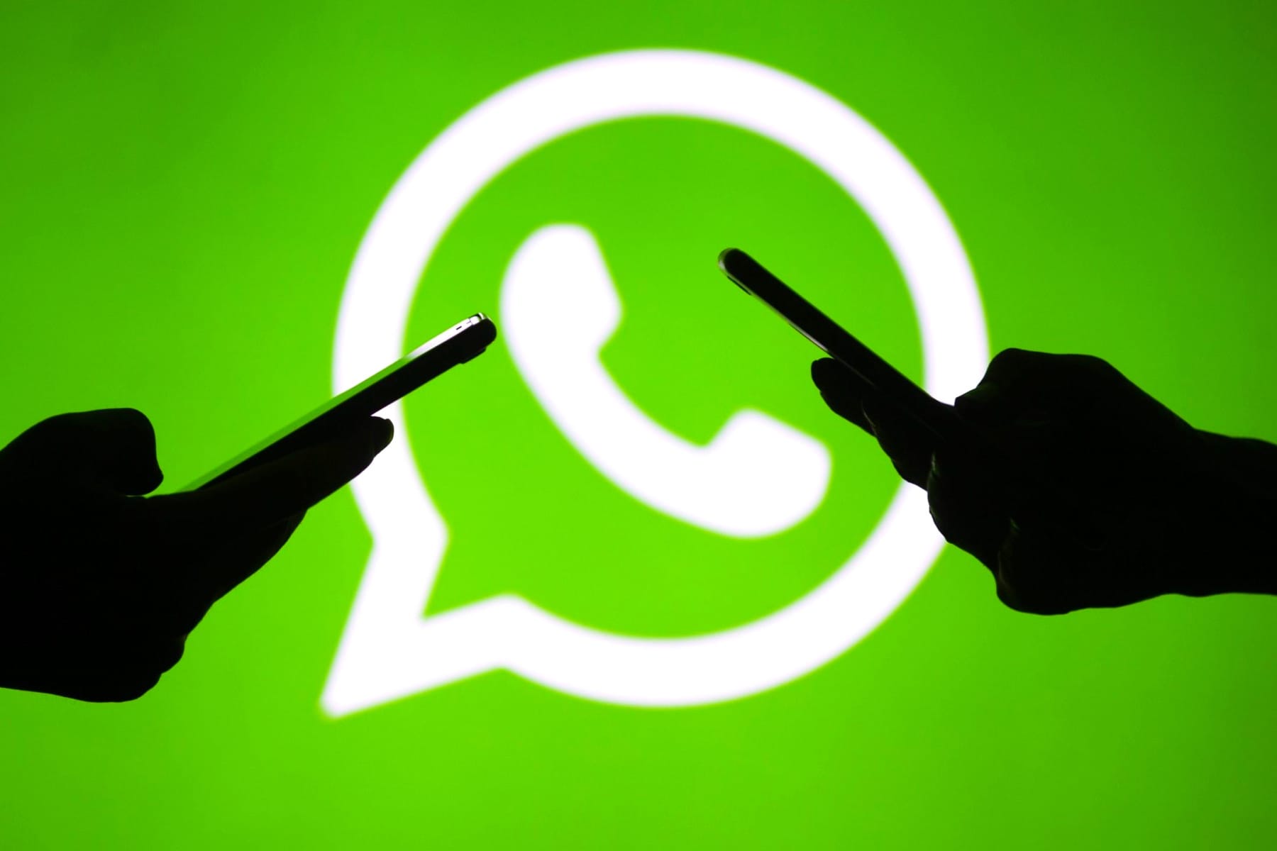 «Сделайте это немедленно». WhatsApp сделал важнейшее заявление для всех пользователей