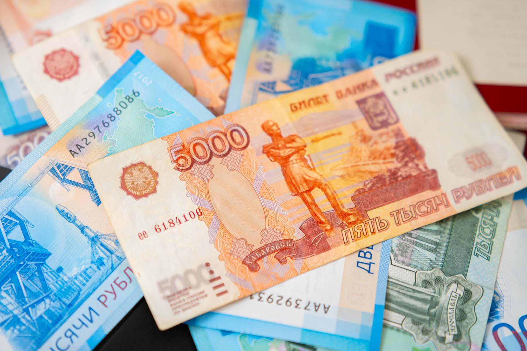 Новый закон позволяет штрафовать дачников на 700 000 рублей. Попасться может каждый